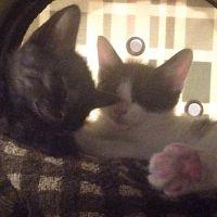 ゆぅちん 会員画像