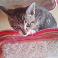ふわりん♪ 会員画像