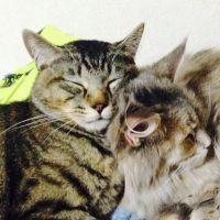 おくむー 会員画像