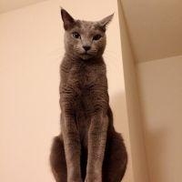 のえるくん 会員画像