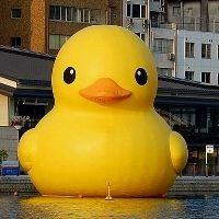 会員画像