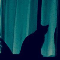 えびまる 会員画像