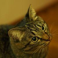 ぐっちん 会員画像