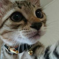 会員画像