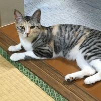 てっしー777 会員画像