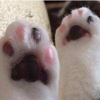 りかおん 会員画像