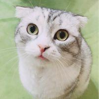会員画像