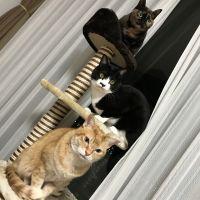 会員画像
