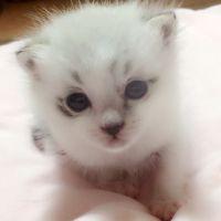 健太ママ 会員画像