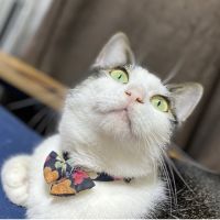 会員画像