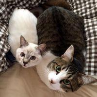 toramama_222 会員画像