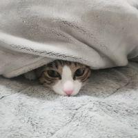会員画像