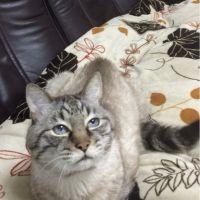 ななはは 会員画像
