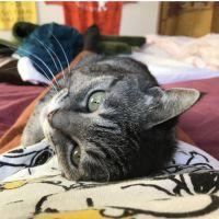 会員画像