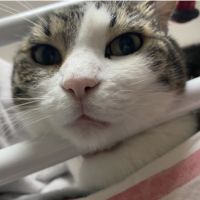 会員画像