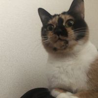 サノス 会員画像