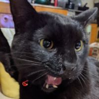 会員画像