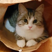 くらさすけ 会員画像