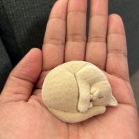 会員画像