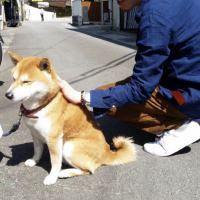 ろんとも 会員画像