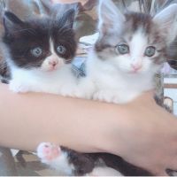 きひ 会員画像