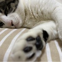 会員画像