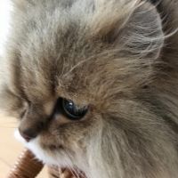 nana89 会員画像