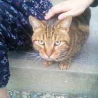 ちいちゃん３５さん