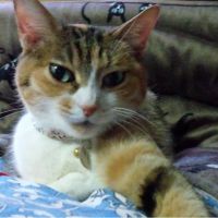 ももかんち 会員画像