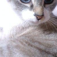 ココちゃん大好き 会員画像