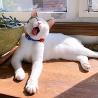 会員画像