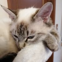 サオちゃんさん