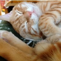 ヒロミ21 会員画像