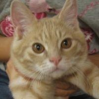 まっちゃママ 会員画像