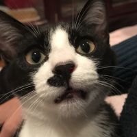 まこ! 会員画像