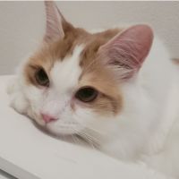 はるろい 会員画像