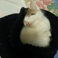 会員画像
