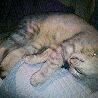 leon326 会員画像