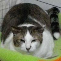 ぼたちゃい 会員画像