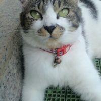 まゆ。 会員画像