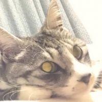 リュウ1988 会員画像