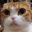 ユーザ画像