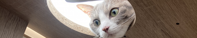 あひるねこさんのホーム