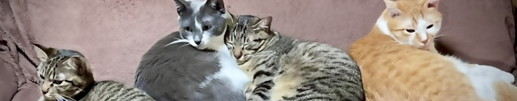 ただくんさんのホーム