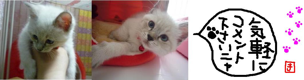 kinako777さんのホーム