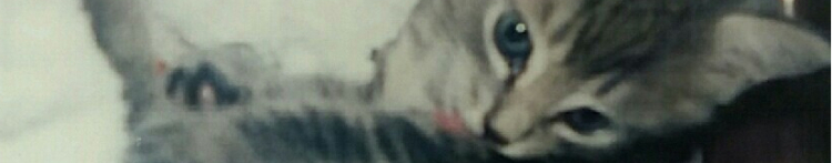 ソマリ主任さんのホーム