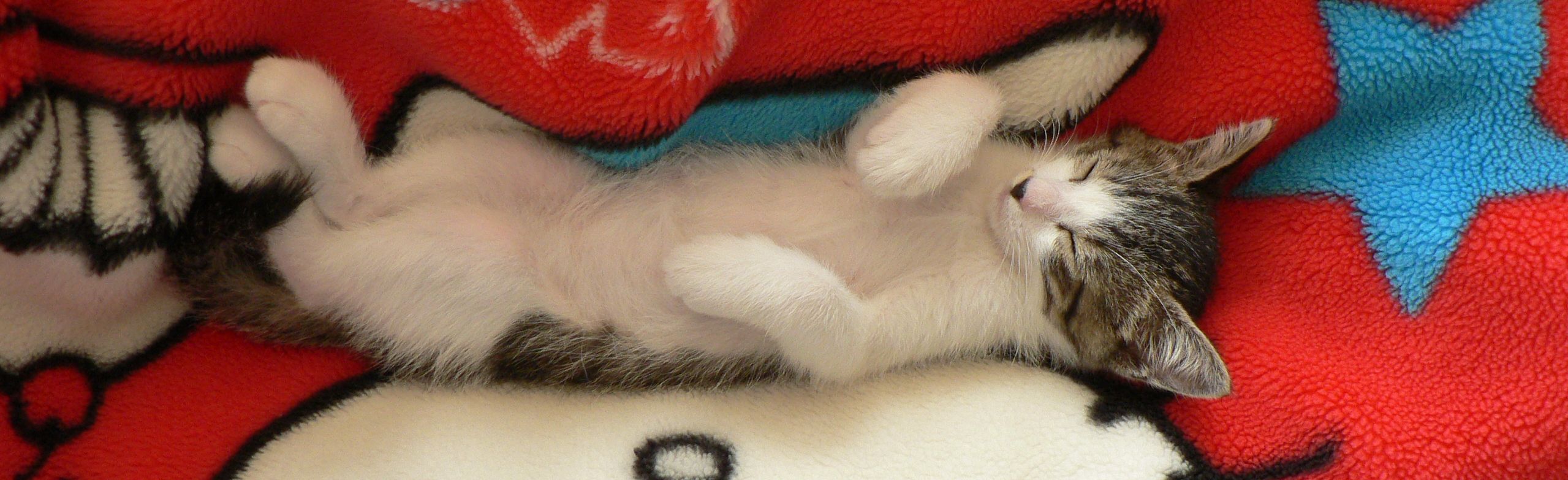 nattsuさんのホーム