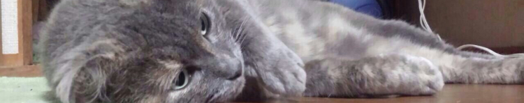 なつめさんさんのホーム