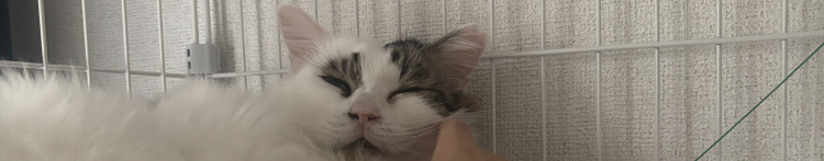 畑ポンさんのホーム