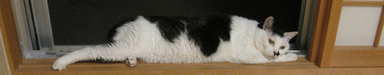 ume-nyanさんのホーム